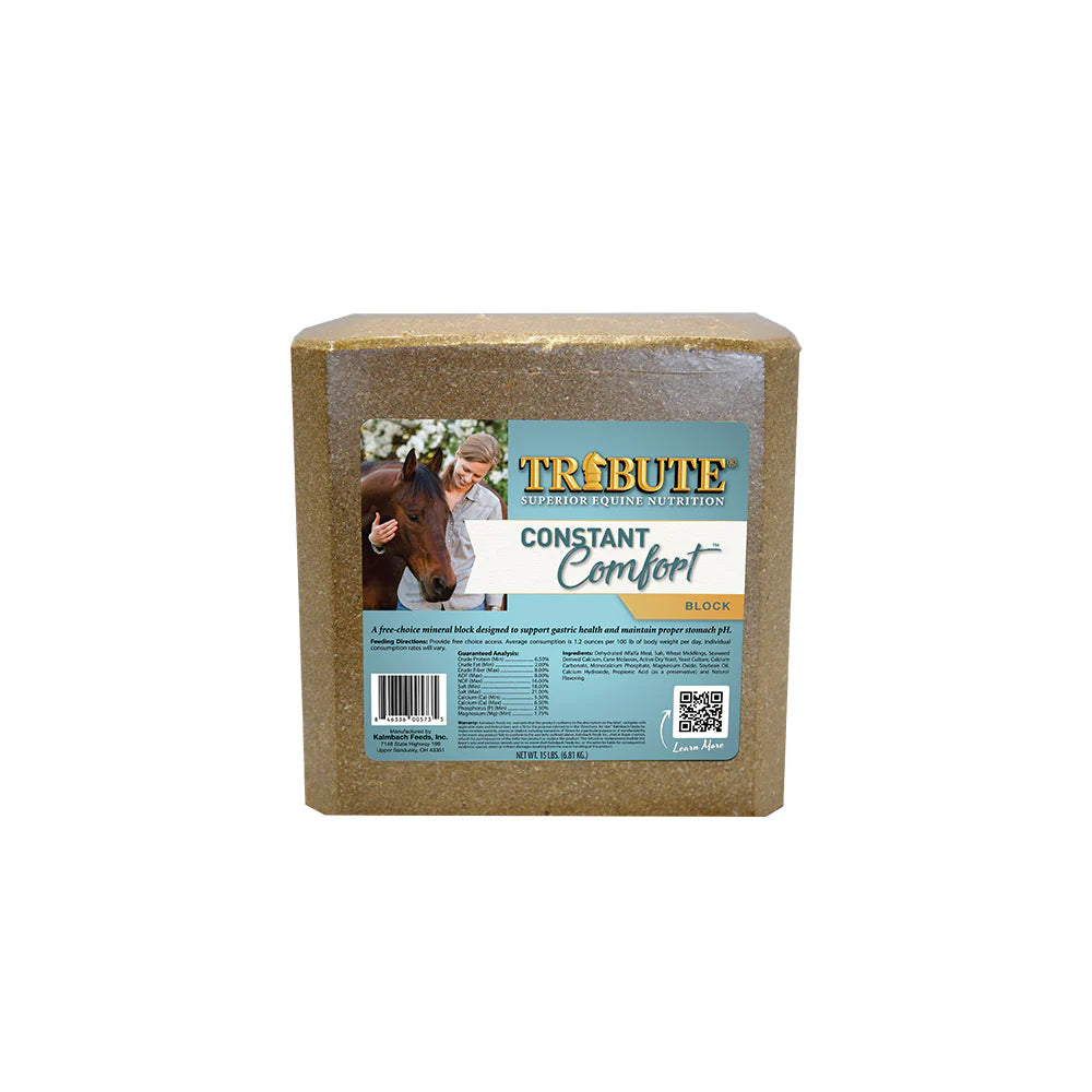 Constant Comfort Block