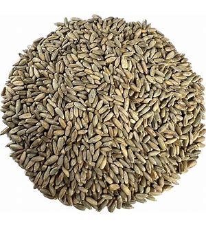 Rye 56 Lbs