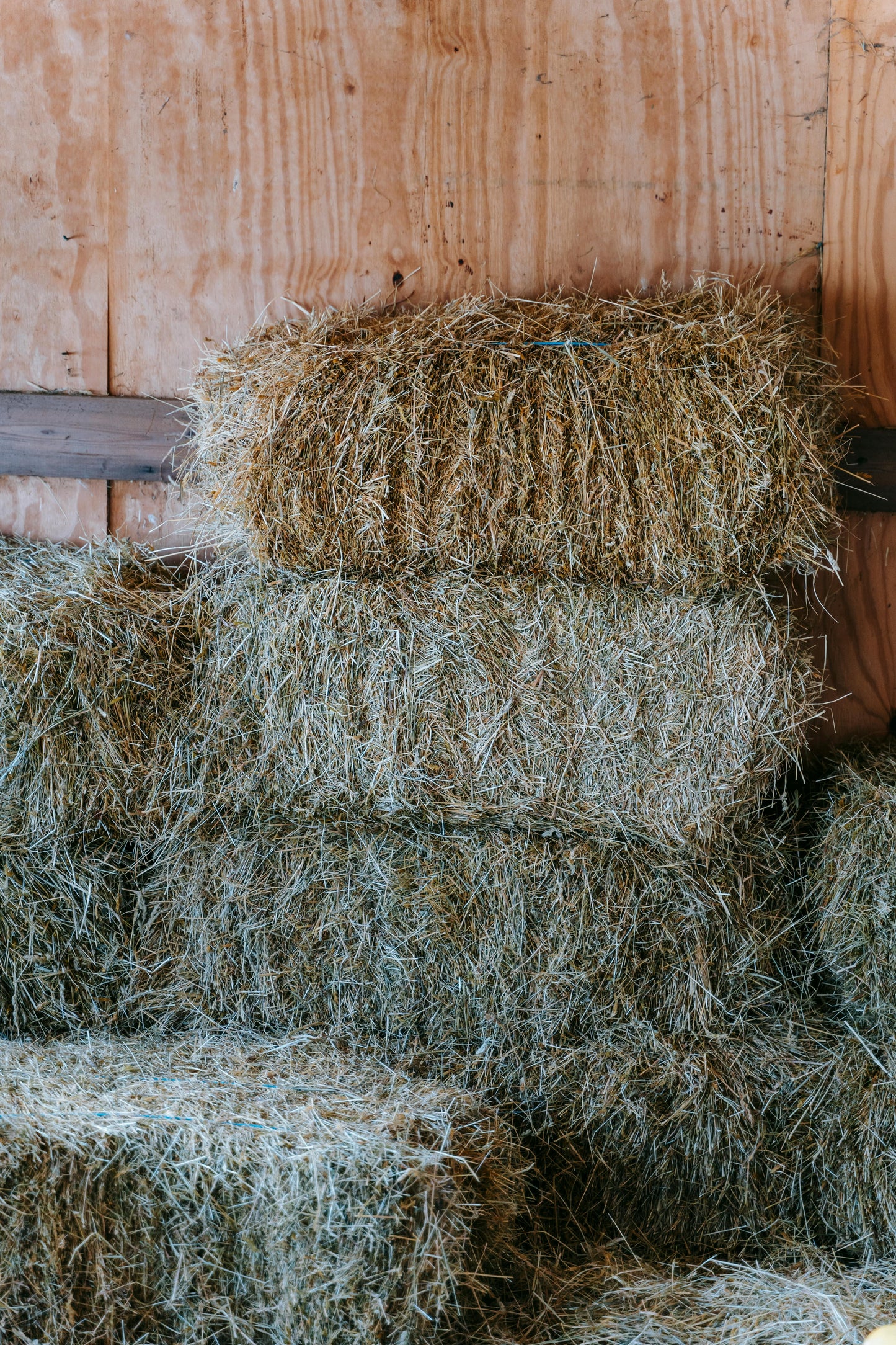 Hay (Bale)
