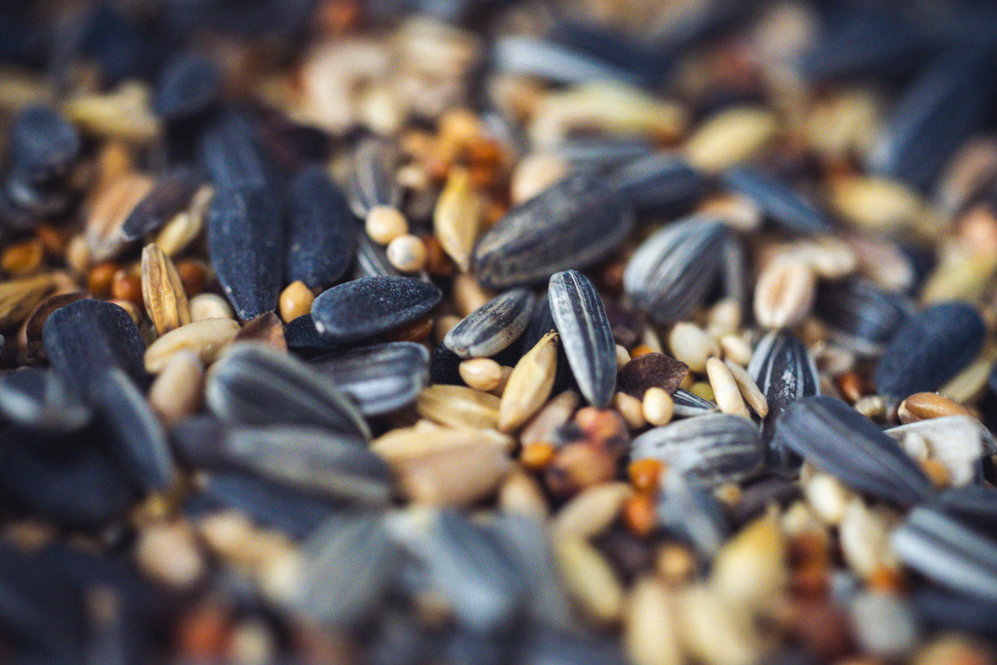 Premium Bird Seed 18lbs