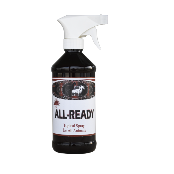 Elite All Ready 16oz