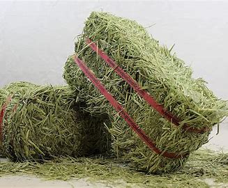 Hay (Bale)