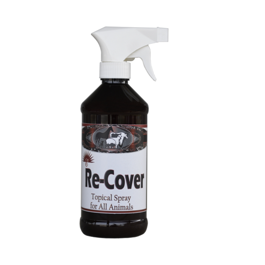 Elite Re-cover 16 oz