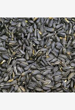 Black Oil Sunflower Seed